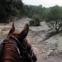 John Zeliff - @JWZeliff - Twitter