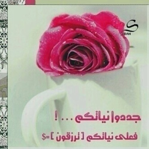 نتجآهل الكثير ، ليسَ لأننآ لآ نرىَ بل لأن القلب آرتوىّ ، ممآ رأىّ