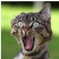 Siler1016's profile picture. 