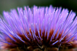 OgailLtd's profile picture. Judith and Fiona are two hospitals consultants with an interest in aesthetic medicine. They provide botox and dermal fillers to clients in  Forth Valley.