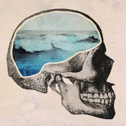 redcurrents's profile picture. 