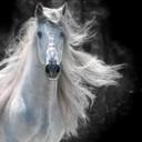 Donna Cross - @SoapBarStudio - Twitter