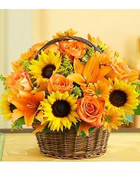 Envymyflowers's profile picture. 