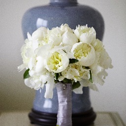 dbhemingway's profile picture. Florist/Event Planner  check out my blog too. http://t.co/WTZ1472i