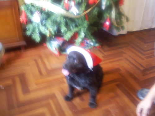 biohack890's profile picture. 