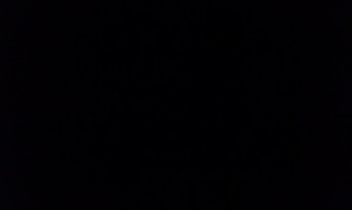 ThenItFellApart's profile picture. I can't remember anything that happened before two weeks ago.