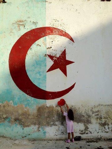 #Algerie #TeamAlgeria #TeamAlgerie #Dz #Algeria #Dzair #Djazayr #Kabyle #Chaoui #World