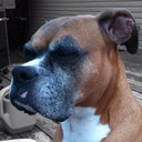 Jon Evans - @jevs_twitt - Twitter