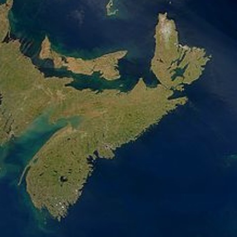 StartUpHalifax Profile