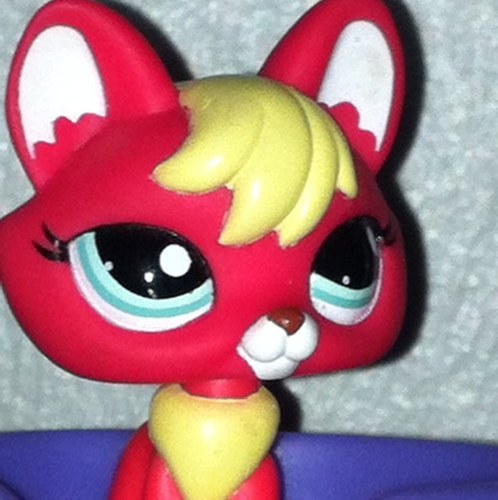 Foxy_Louis's profile picture. 