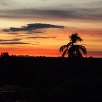 Romulo E Piñero B (@pinerosa25) 's Twitter Profile
