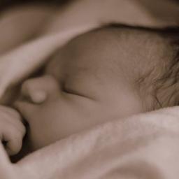 _AmeliaCullen's profile picture. I'm the daughter to @ItsMeBella_ @XXX_XXX_ little sister to @AdorableLilLiv @Faux_Pattison_ I'm not born yet but I can't wait