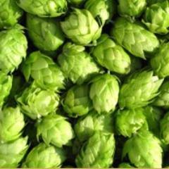 Kaymassa's profile picture. Asiaa oluesta ja olutta ympäröivästä maailmasta. Isännät (maso & weegee) kohtaavat uusia oluita ja mahdollisesti myös kiinnostavia vieraita.