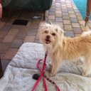 SHARON AKIN - @SHARONA6896 - Twitter