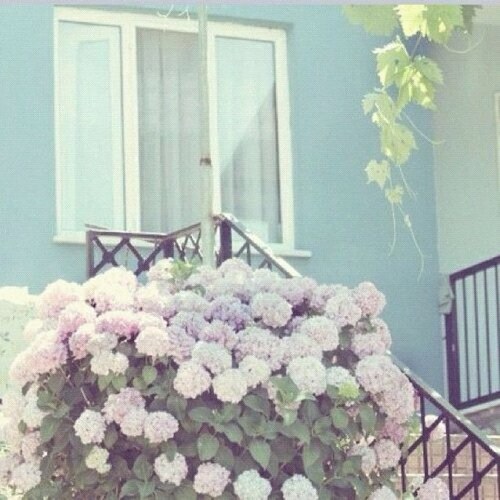 hasoos27's profile picture. 