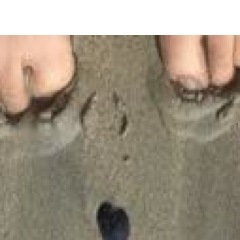 rz78lb's profile picture. 