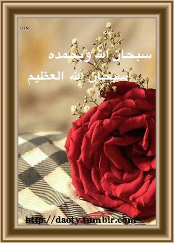 إلا رسول الله ...بأبي وأمي أفديك ياحبيب الله معا لنصرة الأسلام والسنه