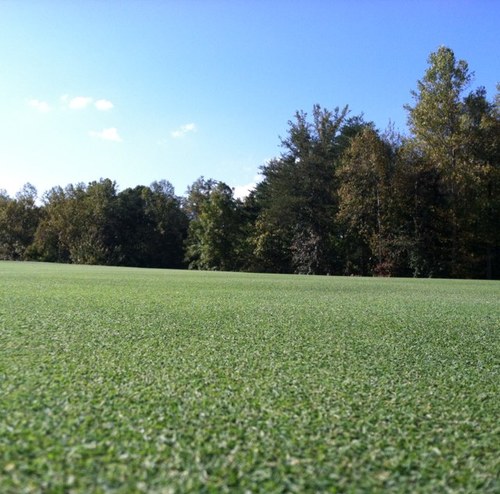 Blessed Husband and Father, Golf Course Superintendent @ Rock Barn Country Club and Spa, N.C. State Turf Grad