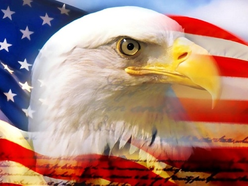 cadtech08's profile picture. 