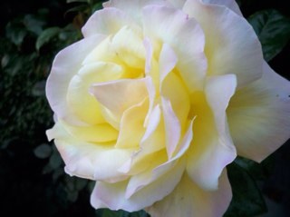 XTinaGuthrie's profile picture. 