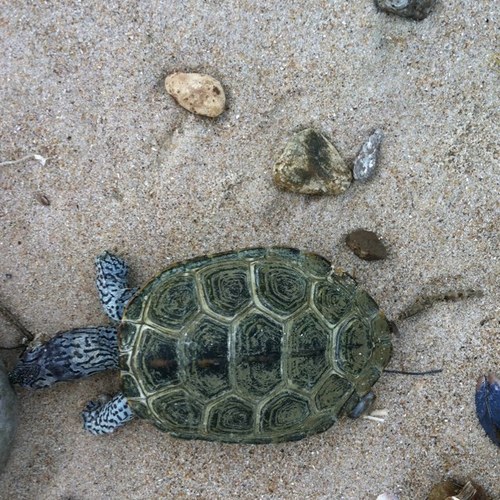 bekusun's profile picture. 