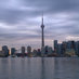 Robert Freedman (@freedmantoronto) Twitter profile photo Robert Freedman (@freedmantoronto) Twitter profile photo