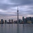 FreedmanToronto's profile image