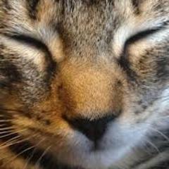 timothyjohn820's profile picture. 