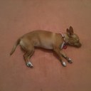 Raymond Summerfield - @txsummerfield - Twitter