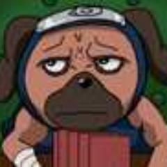 The best and smartest one of Hatake Kakashi's 8 Ninken. Pug life, yo. #NinkenSwag #RP