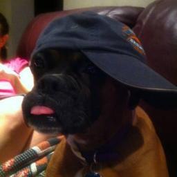 BahbLobLaw's profile picture. Bob Loblaw would sue Ditka's ass!