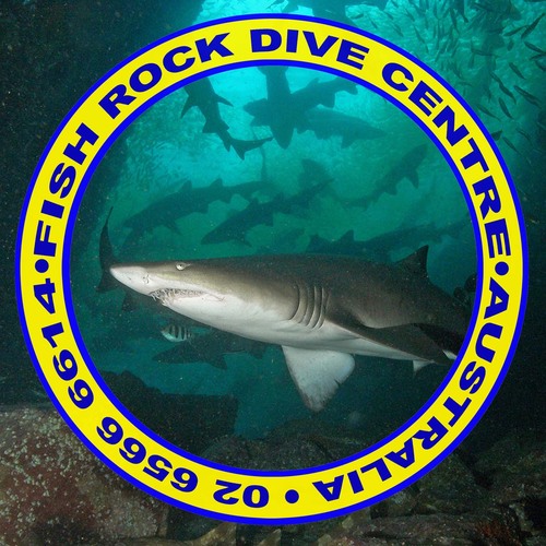 divefishrock's profile picture. Come & experience one of the best dive sites in the world where you can see graceful grey nurse sharks & much more!