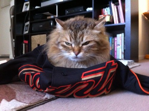 ExtraToughStuff's profile picture. Consumer Marketer, NBA Top Shot Enthusiast