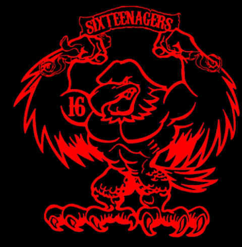 ISC161's profile picture. Incredible sixteen cup