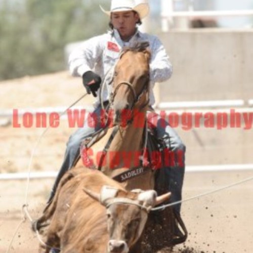 papiJT's profile picture. 