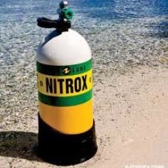 iNitrox1's profile picture. 