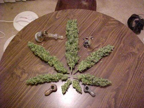Im just your average everyday stoner
Follow my instagram @staydanky 
                    ✌️