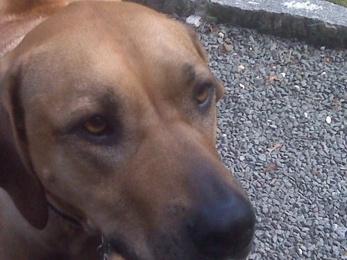 tombitondo's profile picture. Entrepreneur, musician, dreamer.