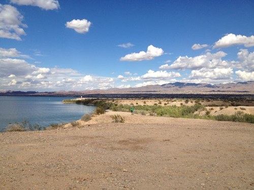 rodrrigog's profile picture. 