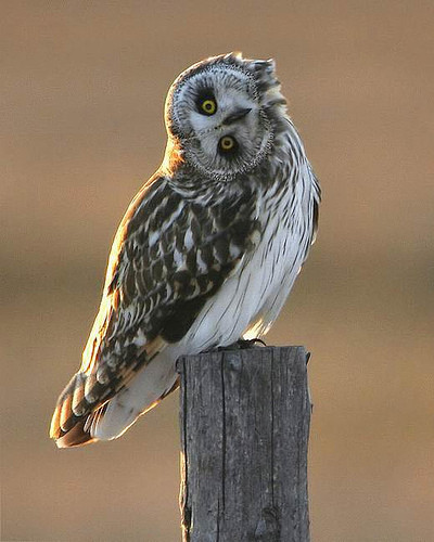 Quad_X's profile picture. 