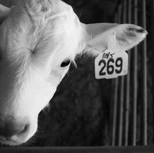 269life's profile picture. 