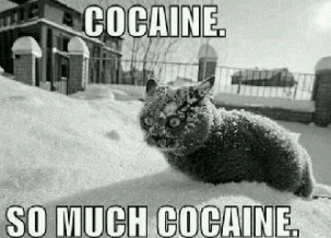 FX_VaLiDiTy's profile picture. 