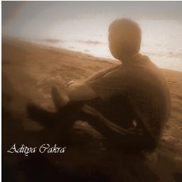 Aditya_CScorp's profile picture. From Zero to Hero