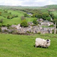Lothersdale School (@lothersdale) 's Twitter Profile