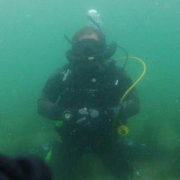 TRUCKS, DIVE , SURF, GUITAR