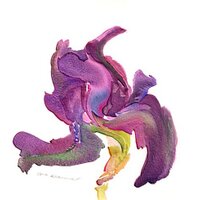 Vanessa Copley (@violetness) 's Twitter Profile