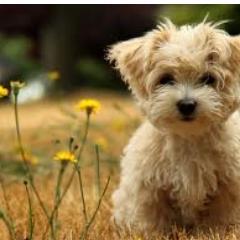 asasaec96cno1's profile picture. okokm