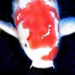 ikiyou_bot's profile picture. 