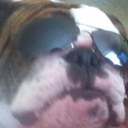 Andy Carpenter - @osucarp - Twitter