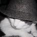 Saudara Bakhtiar (@diblos) Twitter profile photo Saudara Bakhtiar (@diblos) Twitter profile photo
